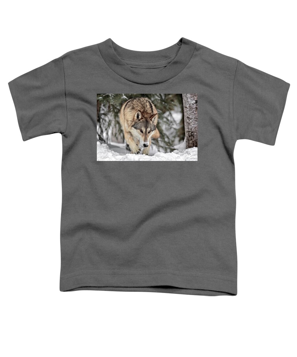 The Seeker Toddler T-Shirt featuring the photograph The Seeker by Wes and Dotty Weber