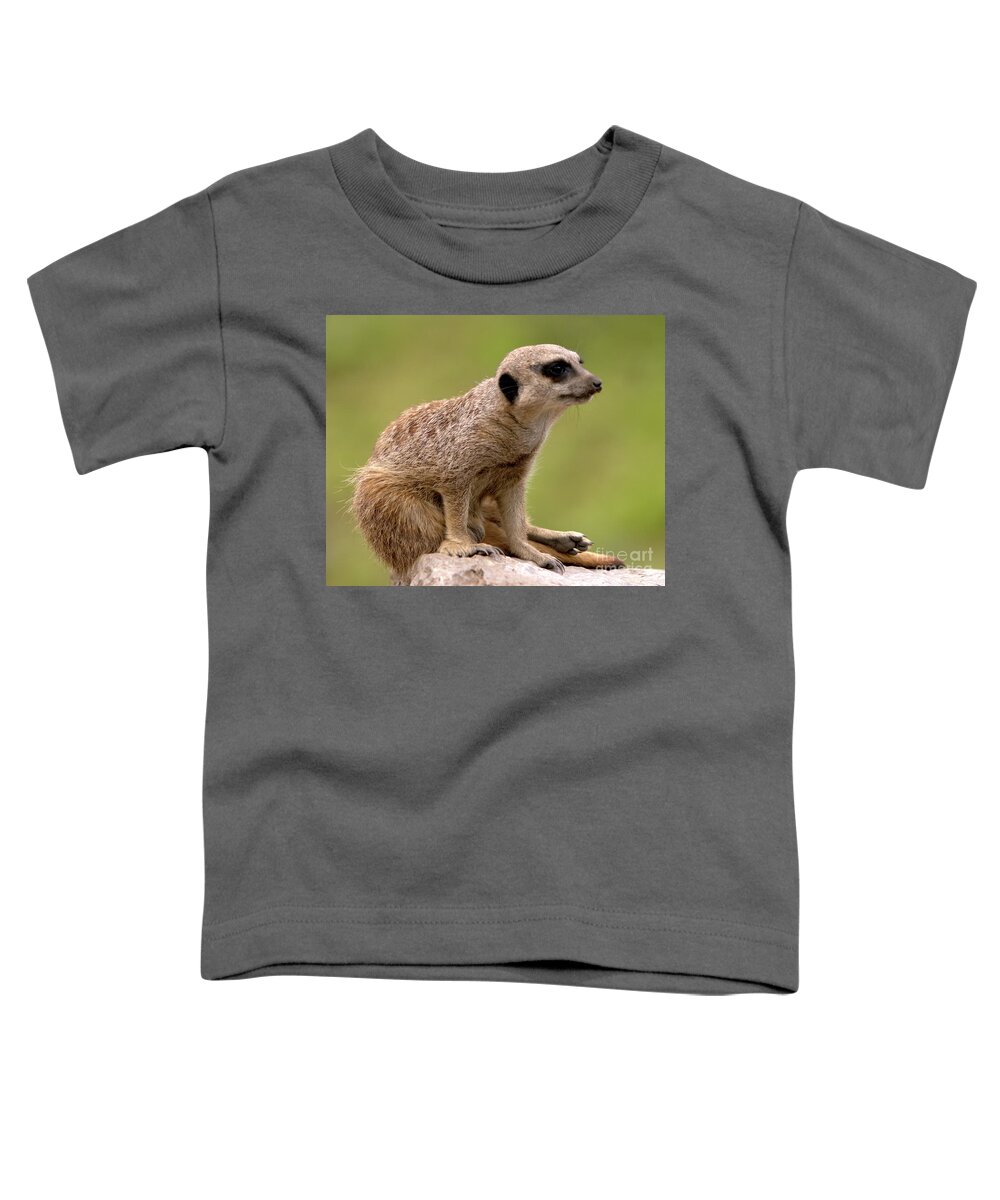 Small Toddler T-Shirt featuring the photograph The Sentinel by Baggieoldboy