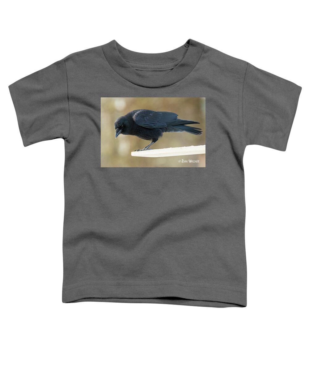 Minnesota Toddler T-Shirt featuring the photograph The Stare Down by Joan Wallner