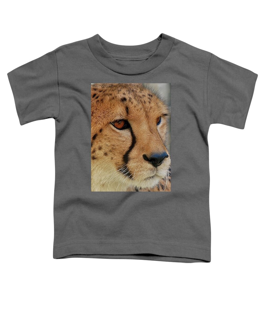 Cheetah Toddler T-Shirt featuring the photograph The Stare by Kuni Photography