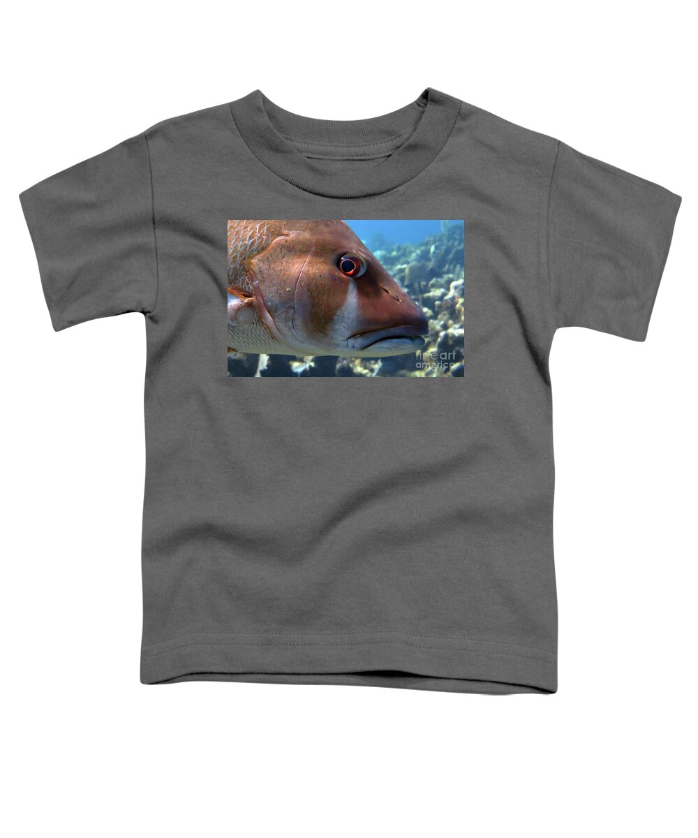 Underwater Toddler T-Shirt featuring the photograph The Tear of a Dog Snapper by Daryl Duda