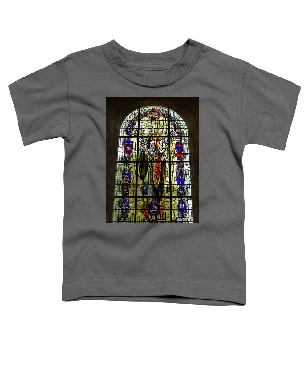 Stained Glass Toddler T-Shirt featuring the photograph They Have Come Back by John Daly