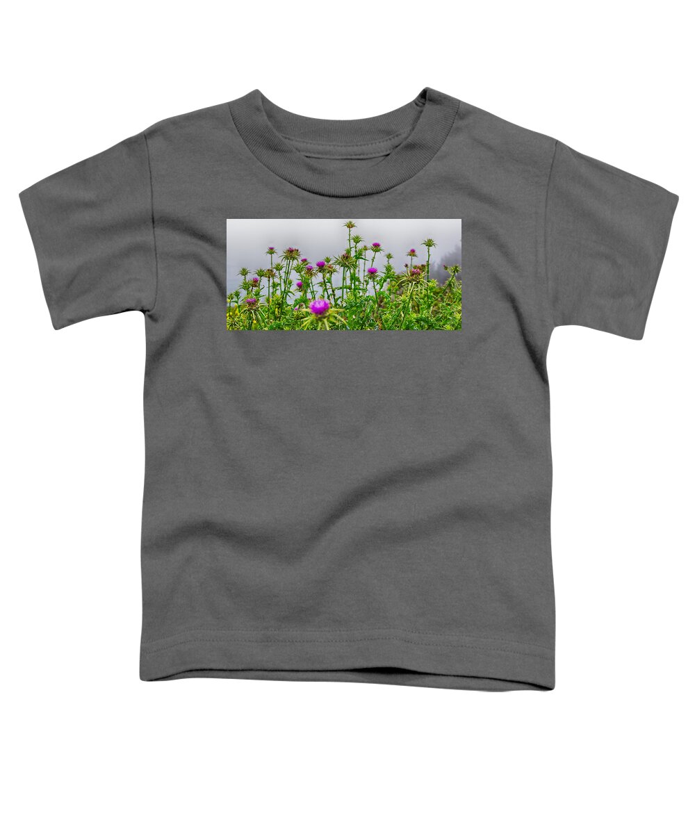 Thistle Toddler T-Shirt featuring the photograph Thistles In Bloom at Muir Beach Overlook in Northern California by Brian Ball