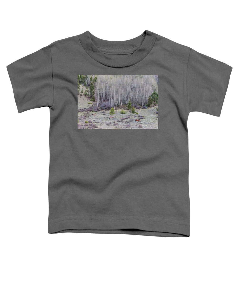Horses Toddler T-Shirt featuring the photograph Three Horses by James BO Insogna