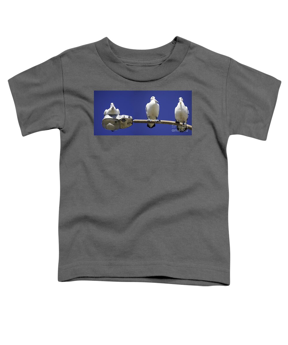 Australian White Pelicans Toddler T-Shirt featuring the photograph Three pelicans on a lamp post by Sheila Smart Fine Art Photography