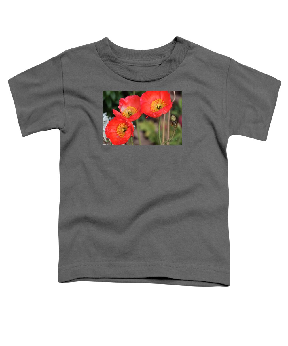 Photograph Toddler T-Shirt featuring the photograph Three Red Poppies by Suzanne Gaff