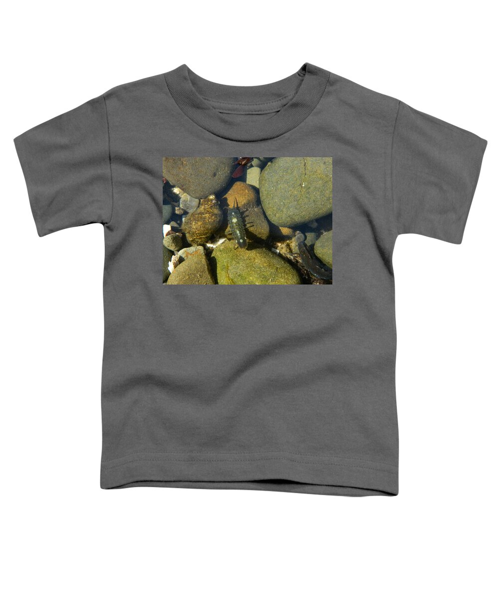 Ocean Life Toddler T-Shirt featuring the photograph Tide Pool Creatures by Gallery Of Hope 