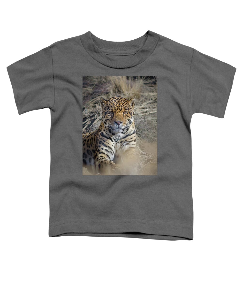 Animal Ark Toddler T-Shirt featuring the photograph Jaguar by Rick Mosher