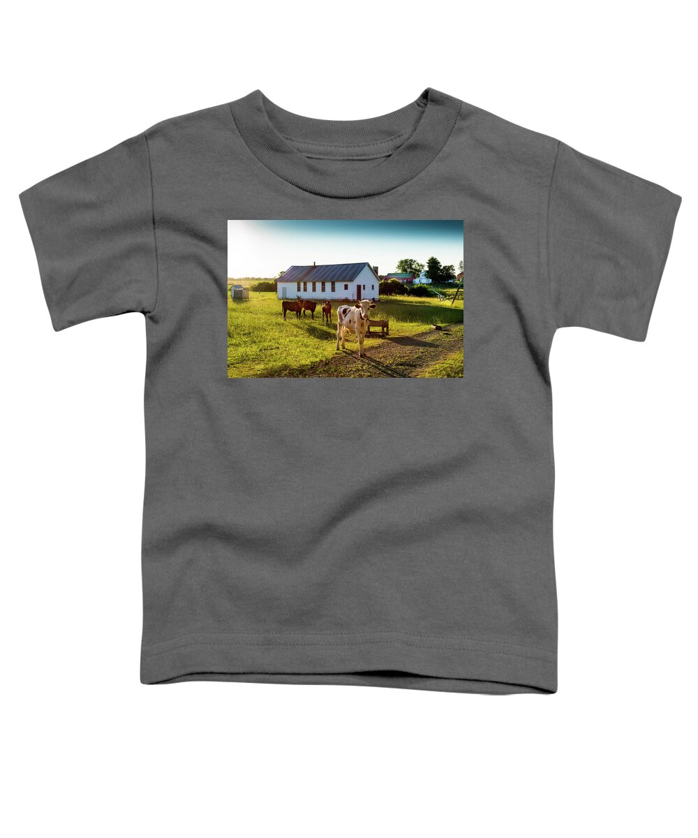 Cow Toddler T-Shirt featuring the photograph Til the Cows Come Home by Brent Buchner