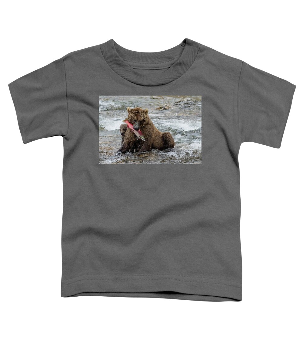Alaska Toddler T-Shirt featuring the photograph Time for Lunch by Cheryl Strahl