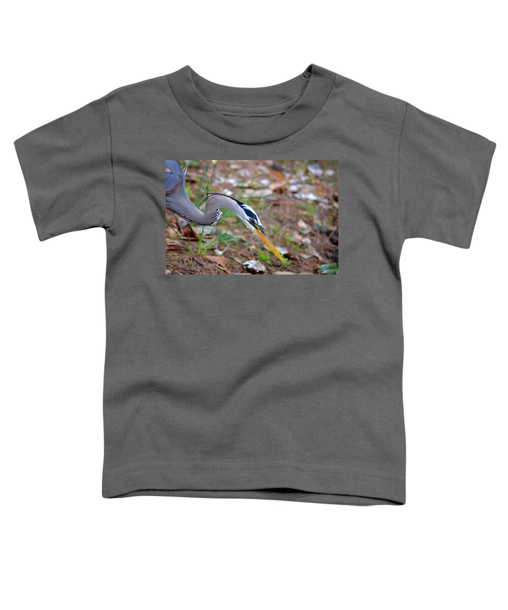 To Catch A Fish Toddler T-Shirt featuring the photograph To Catch a Fish by Maria Urso