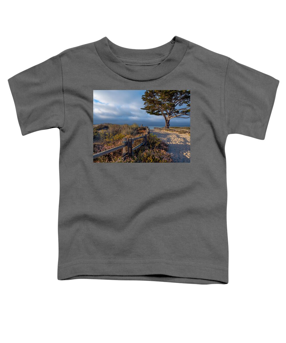Monterey Toddler T-Shirt featuring the photograph To the Beach by Derek Dean