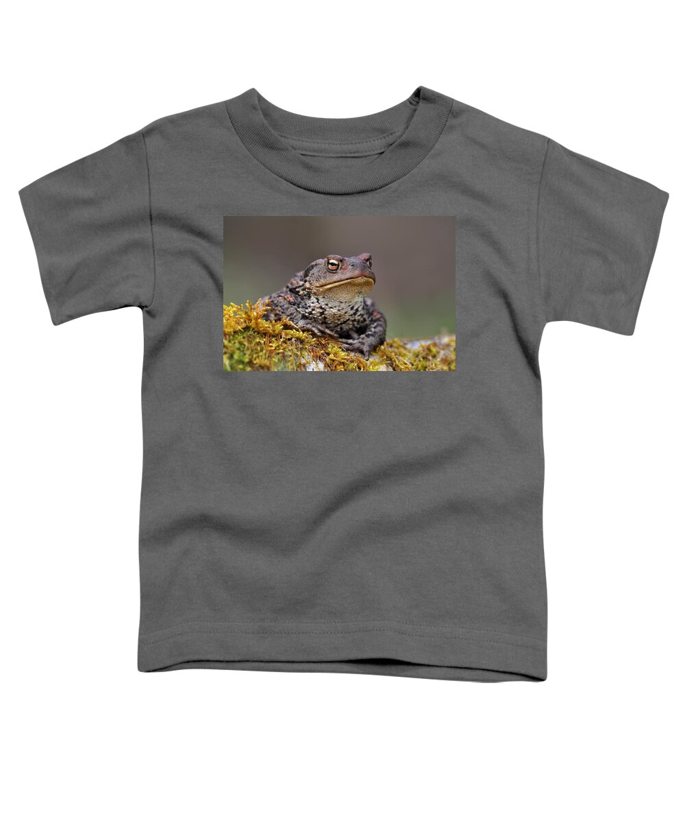 Common Toad Toddler T-Shirt featuring the photograph Toad by Gavin Macrae