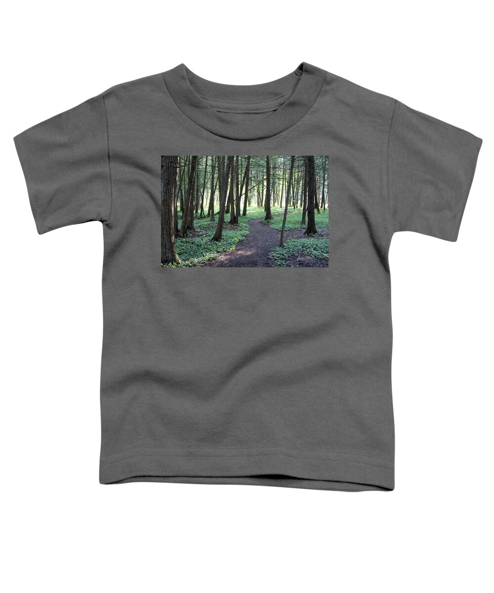 Woods Toddler T-Shirt featuring the photograph Tranquility by Jackson Pearson