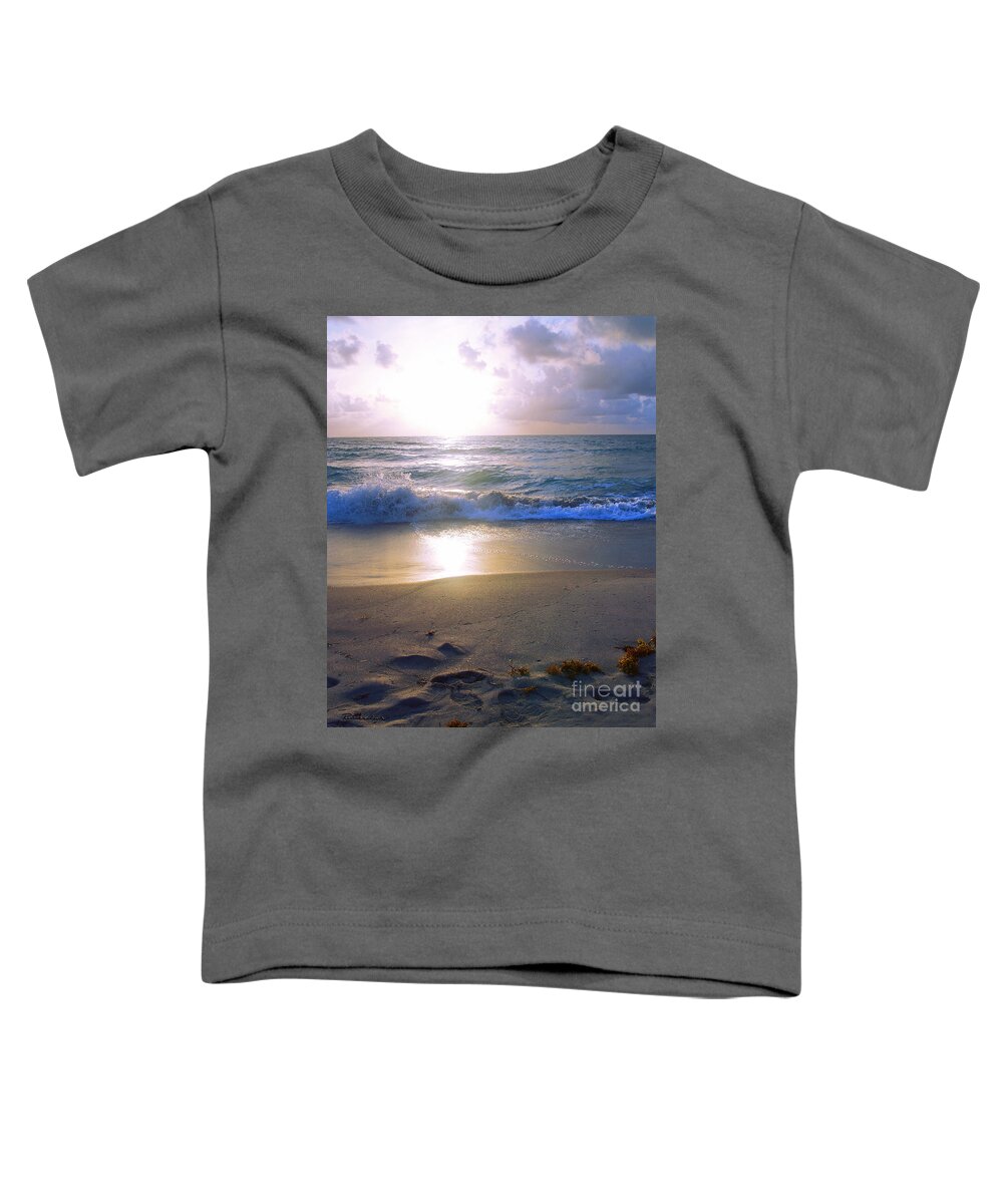 Blue Toddler T-Shirt featuring the photograph Treasure Coast Florida Sunrise Seascape B4 by Ricardos Creations