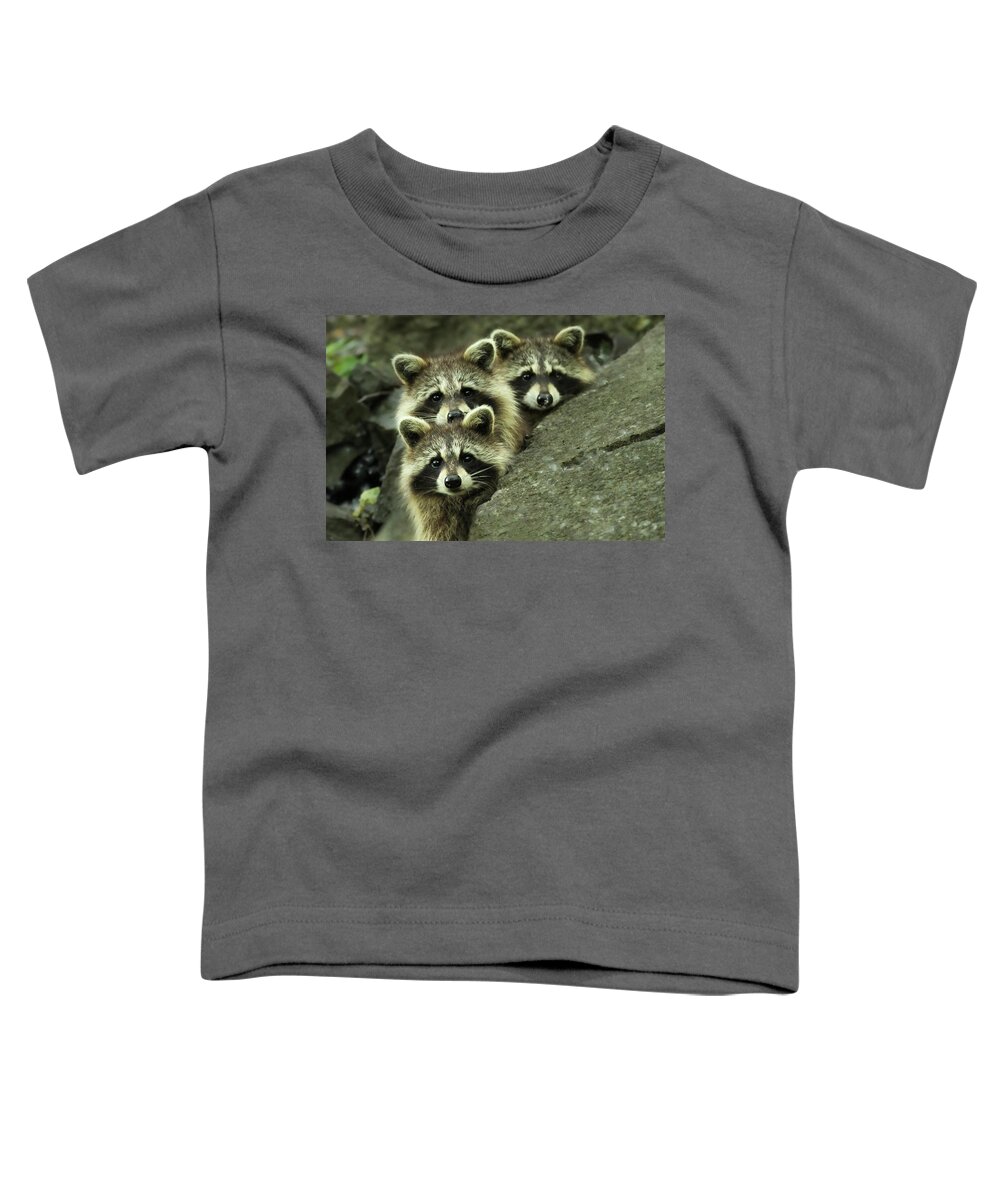 Tres Toddler T-Shirt featuring the photograph Tres Banditos by Mircea Costina Photography