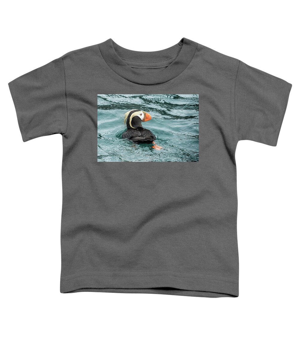 Tufted Puffin Toddler T-Shirt featuring the photograph Tufted Puffin by Belinda Greb