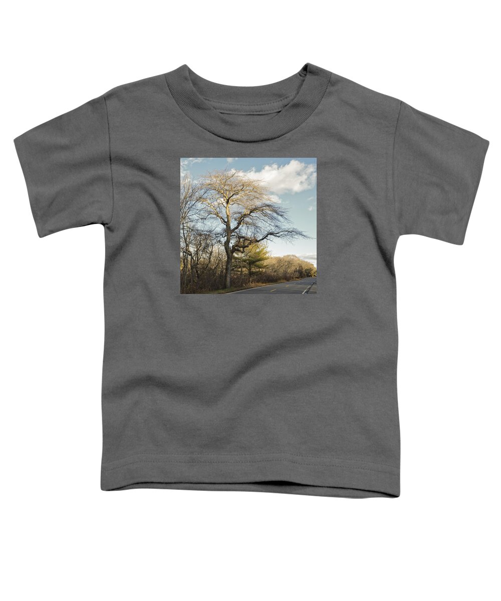 Cape Cod Toddler T-Shirt featuring the photograph Tupelo Tree by Frank Winters