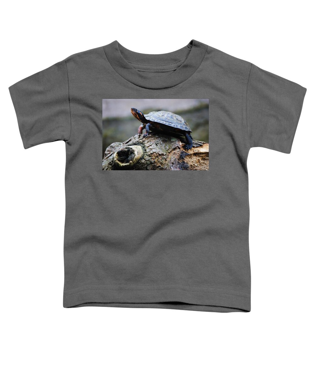 Turtle Toddler T-Shirt featuring the photograph Turtle and the Hippo by Eric Liller