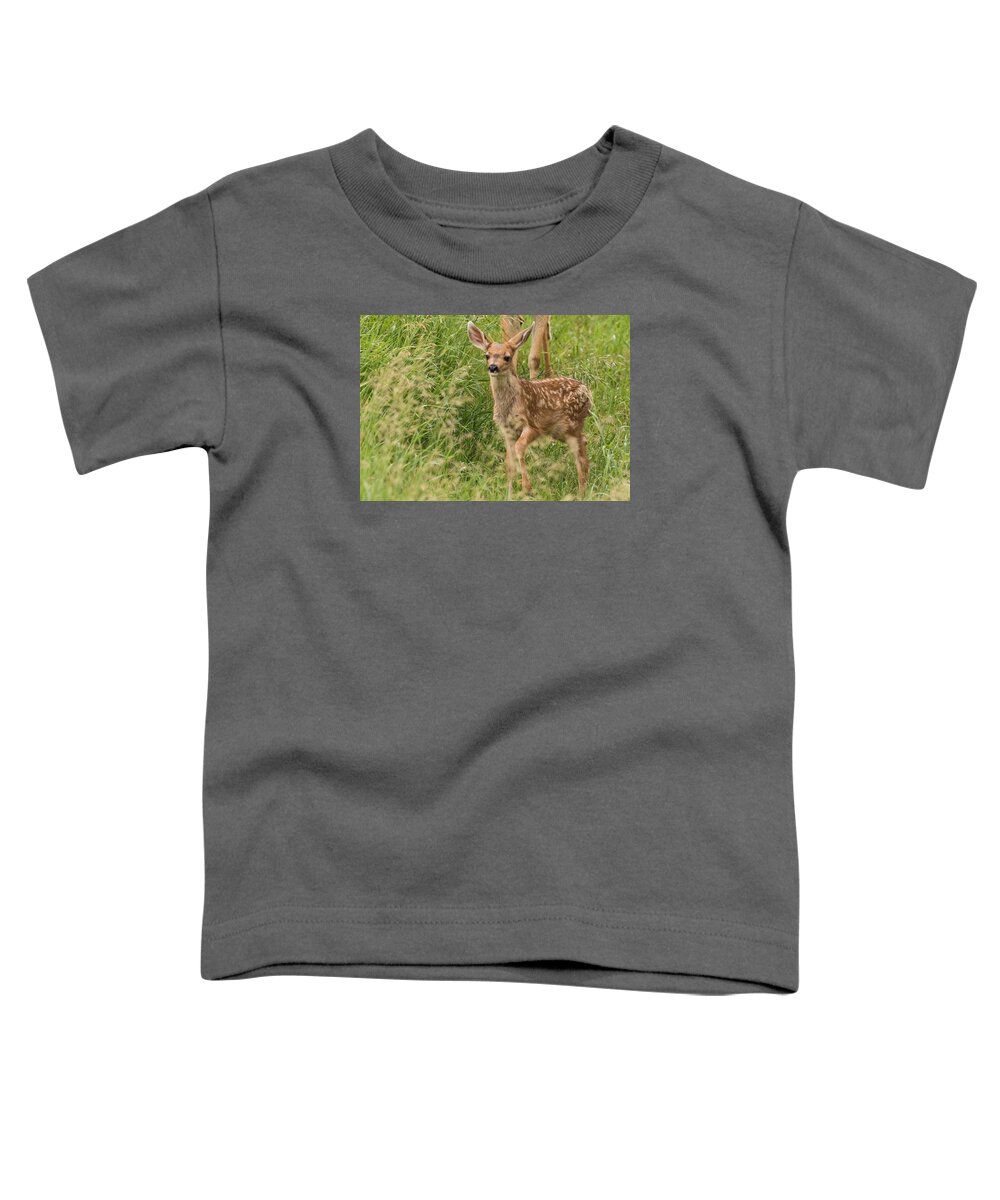 Mule Deer Fawn Toddler T-Shirt featuring the photograph Twilight Fawn #3 by Mindy Musick King