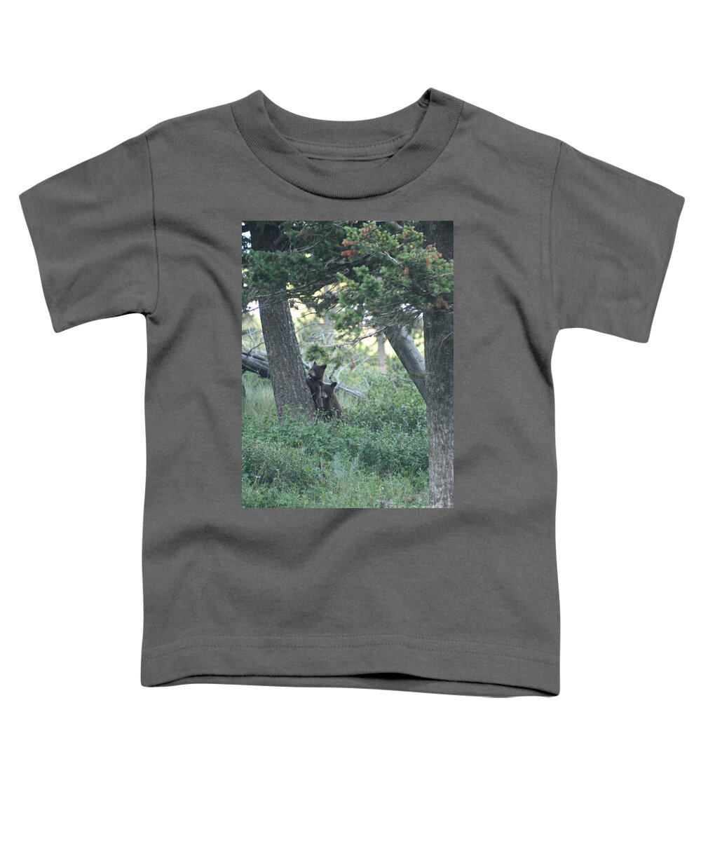 Two Toddler T-Shirt featuring the photograph Two Bear Cubs by Mary Mikawoz