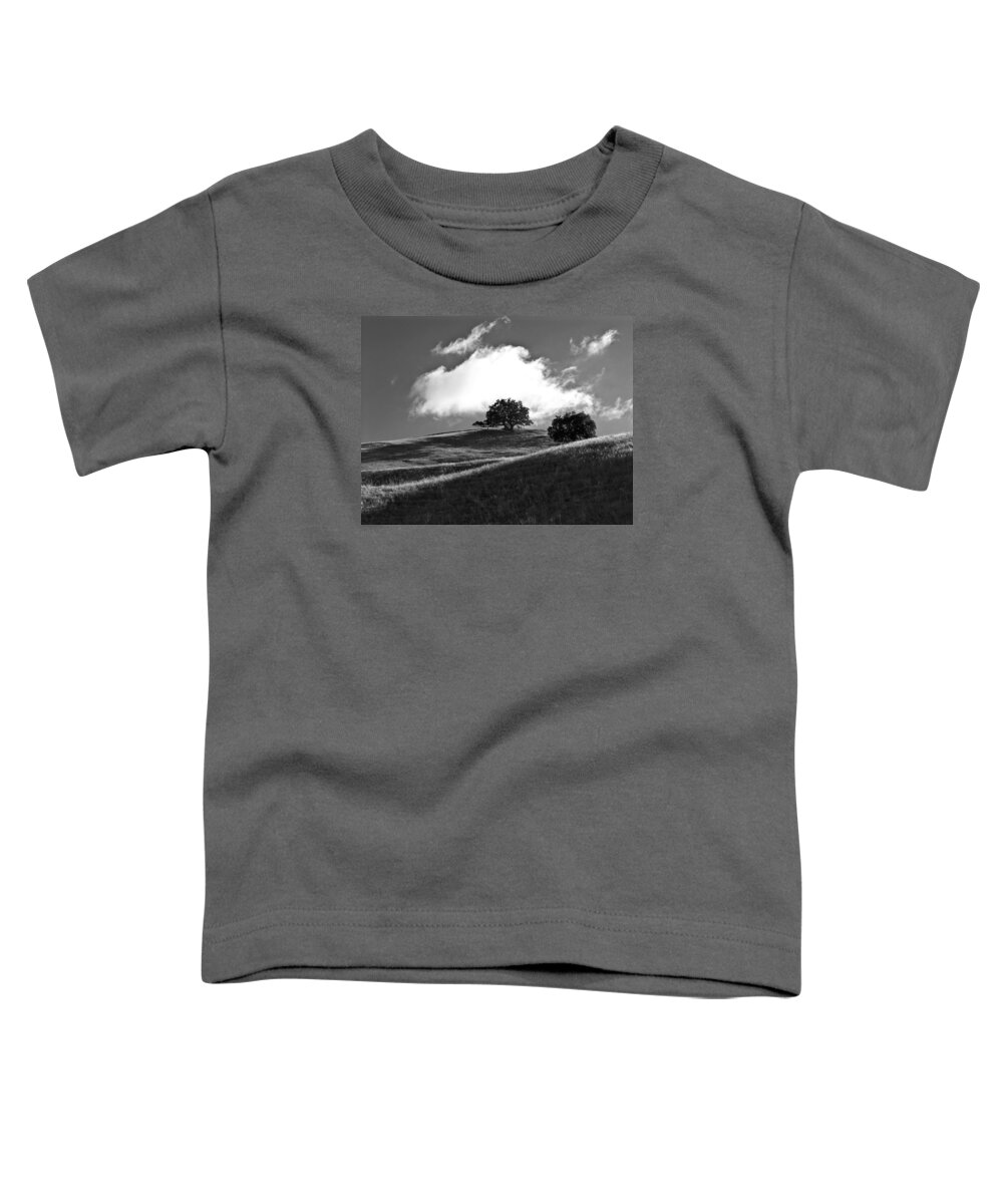 Oak Toddler T-Shirt featuring the photograph Two Brothers by Brad Hodges