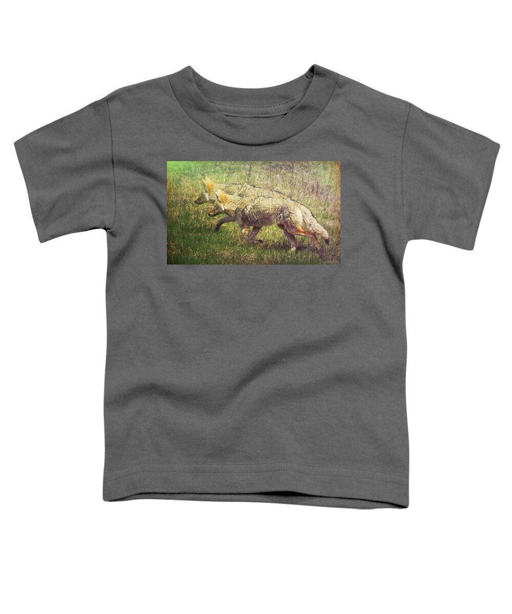 Animal Toddler T-Shirt featuring the photograph Two Coyotes by Natalie Rotman Cote