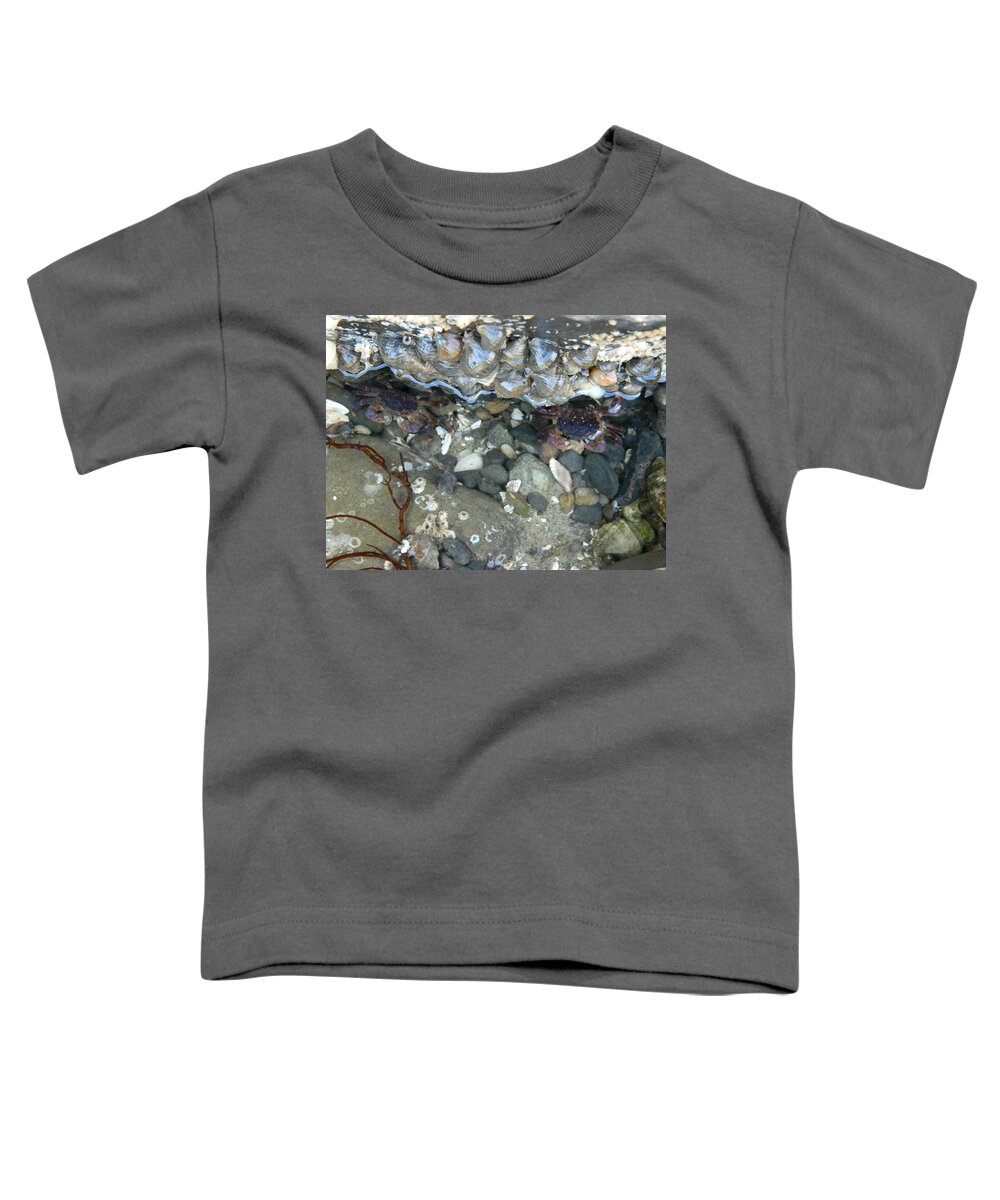 Crabs Toddler T-Shirt featuring the photograph Two Little Crabs by Gallery Of Hope 