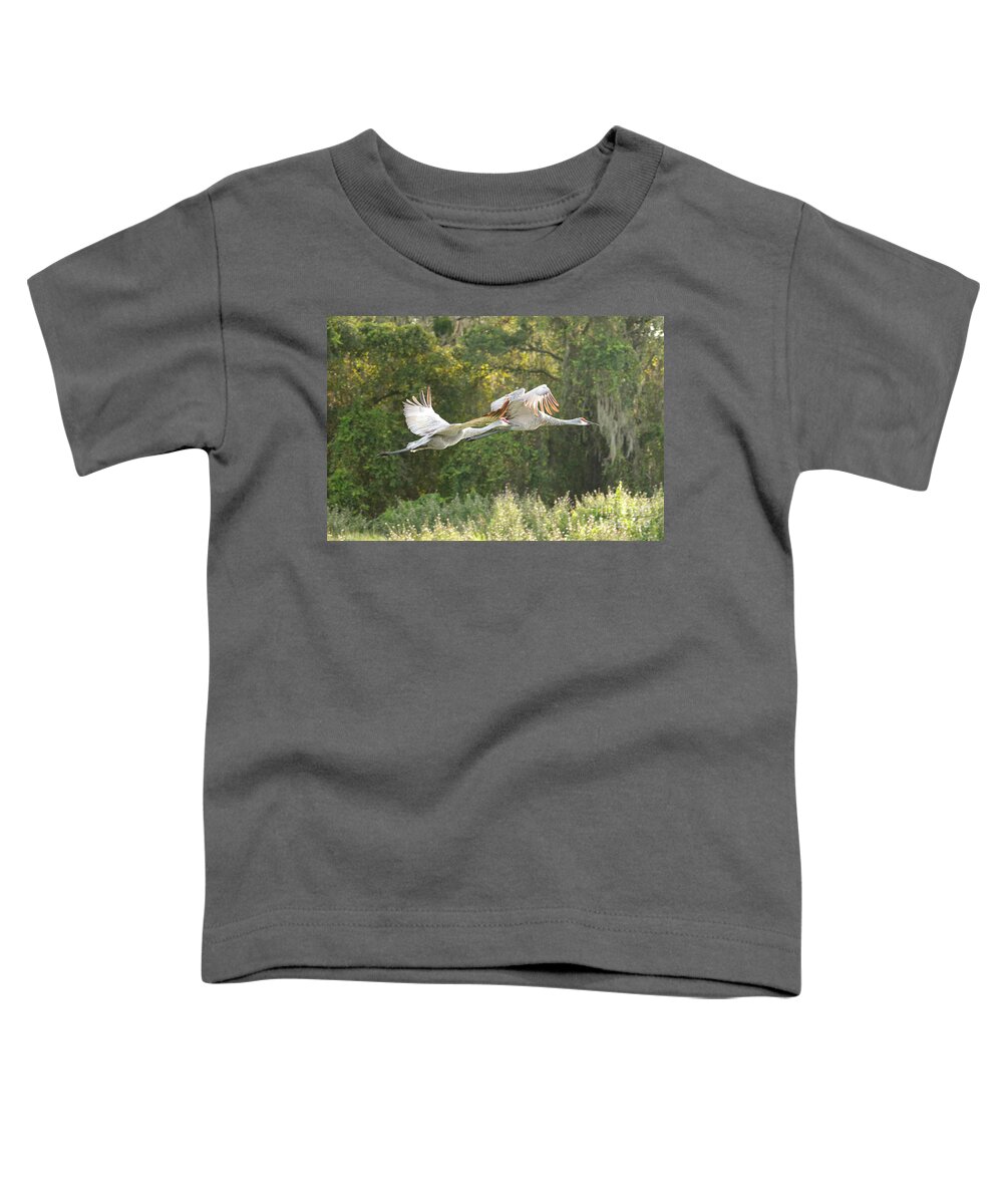 Sandhill Crane Toddler T-Shirt featuring the photograph Two Soaring Sandhill Cranes by Carol Groenen