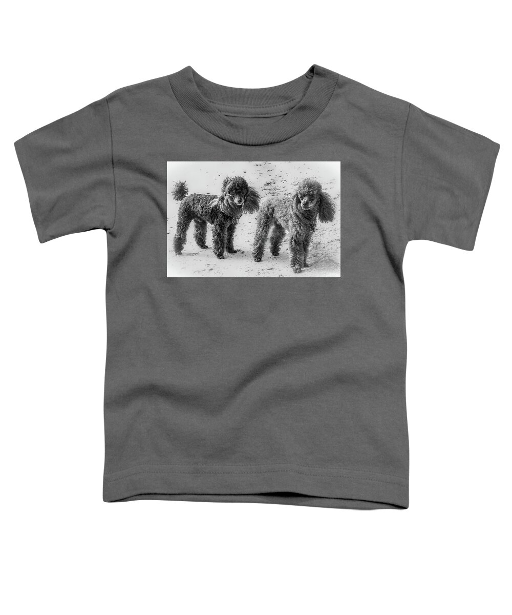 Bird Key Park Toddler T-Shirt featuring the photograph Two Toys B/W by Richard Goldman