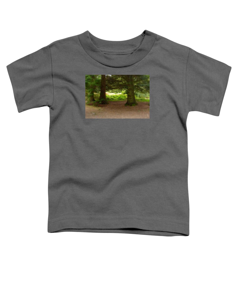 Tree Toddler T-Shirt featuring the photograph Two trees by Lukasz Ryszka