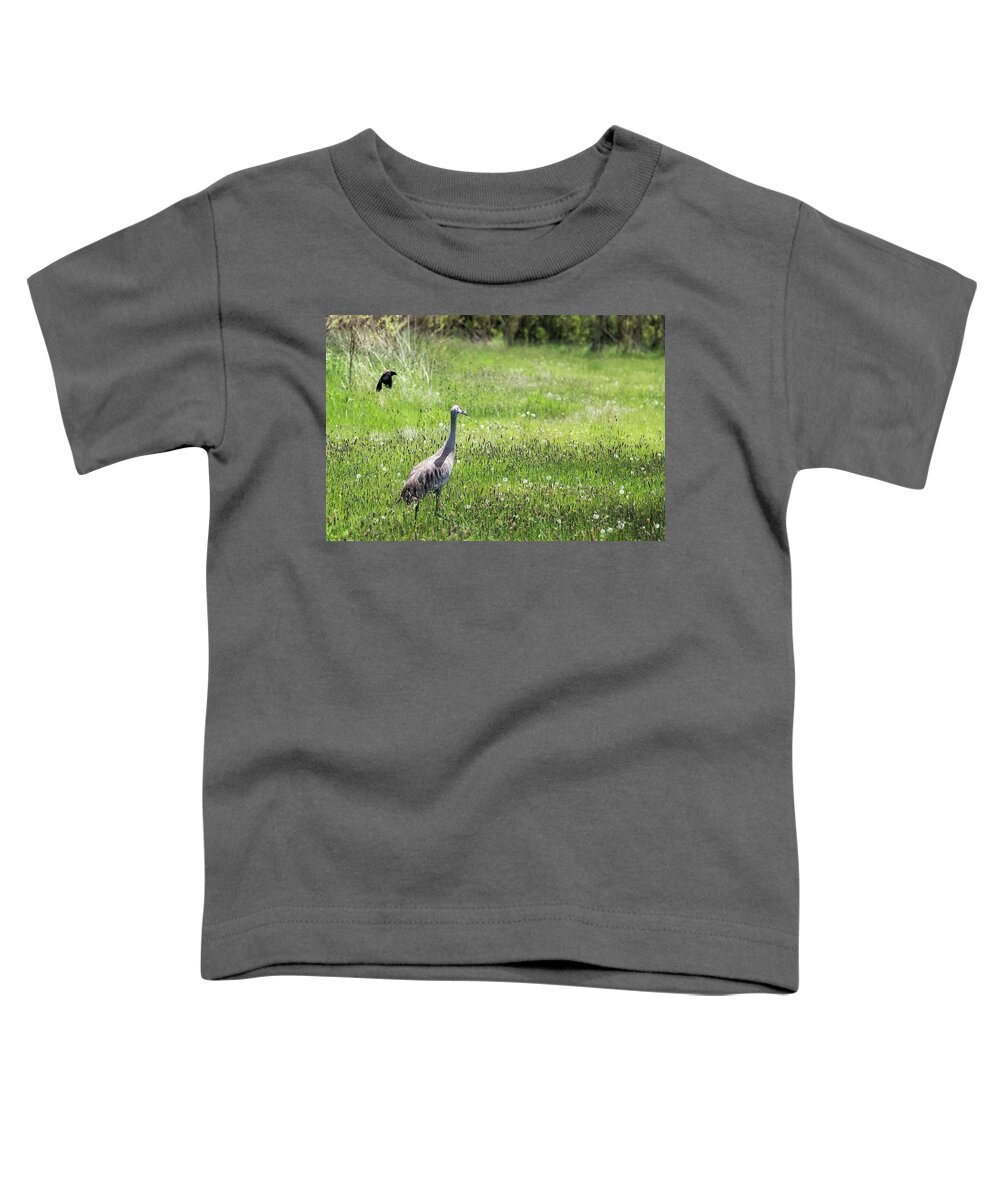 Sandhill Crane Toddler T-Shirt featuring the photograph Unfazed by Belinda Greb