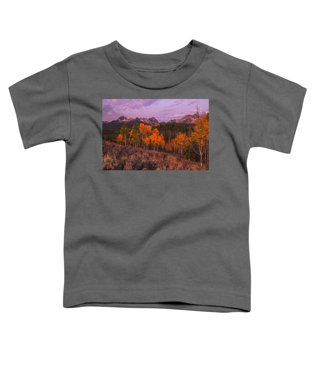 Sawtooth Mountain Toddler T-Shirt featuring the photograph Unique image of Sawtooth mountains with autumn trees in the foreground by Vishwanath Bhat