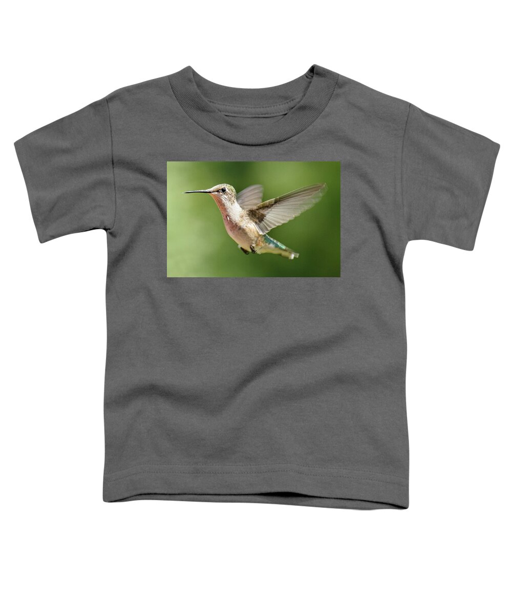 Hummingbird Toddler T-Shirt featuring the photograph Untitled Hum_bird_two by Paul Vitko