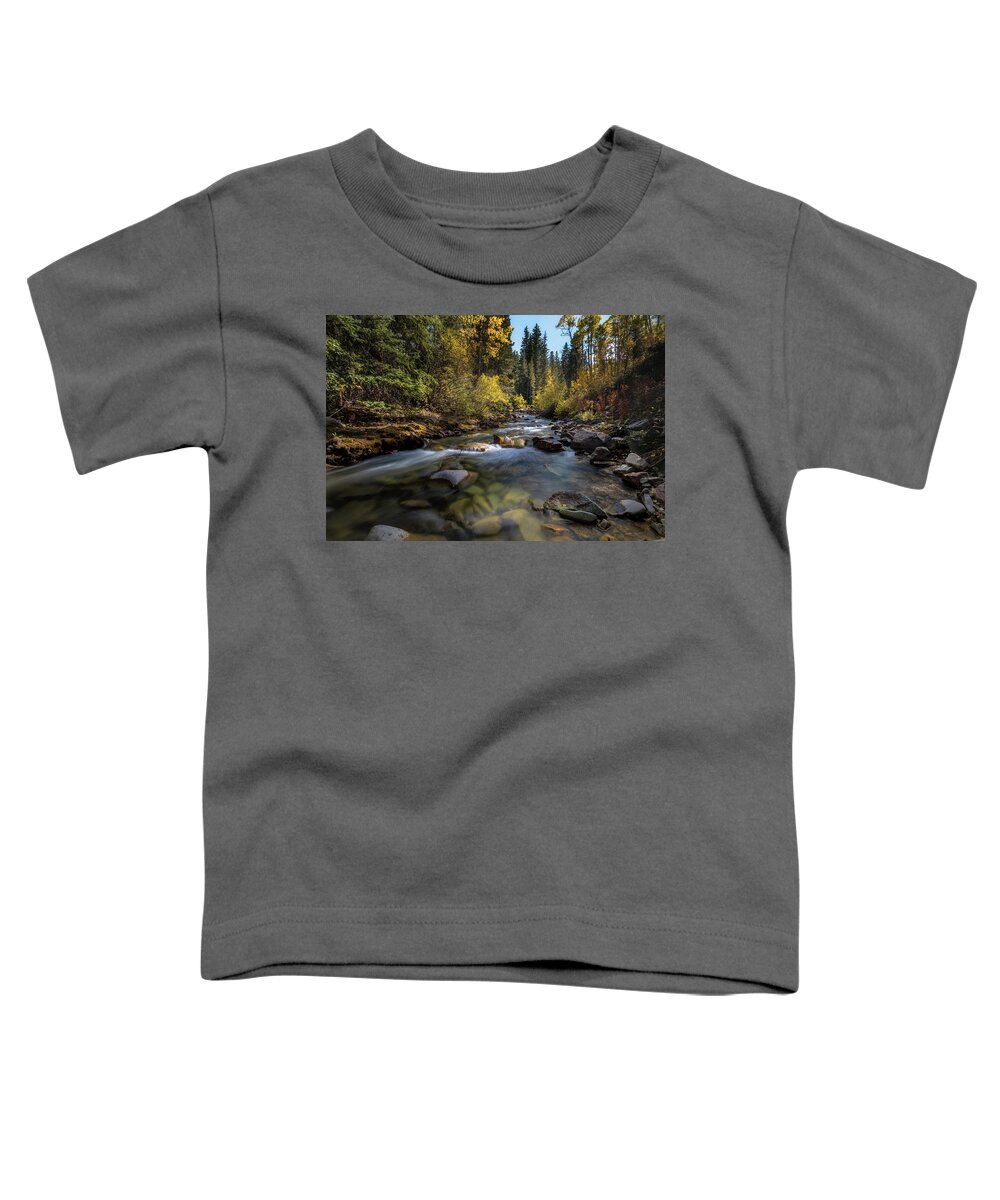 Fall Colors Toddler T-Shirt featuring the photograph Up a Colorado Creek by Michael Ash