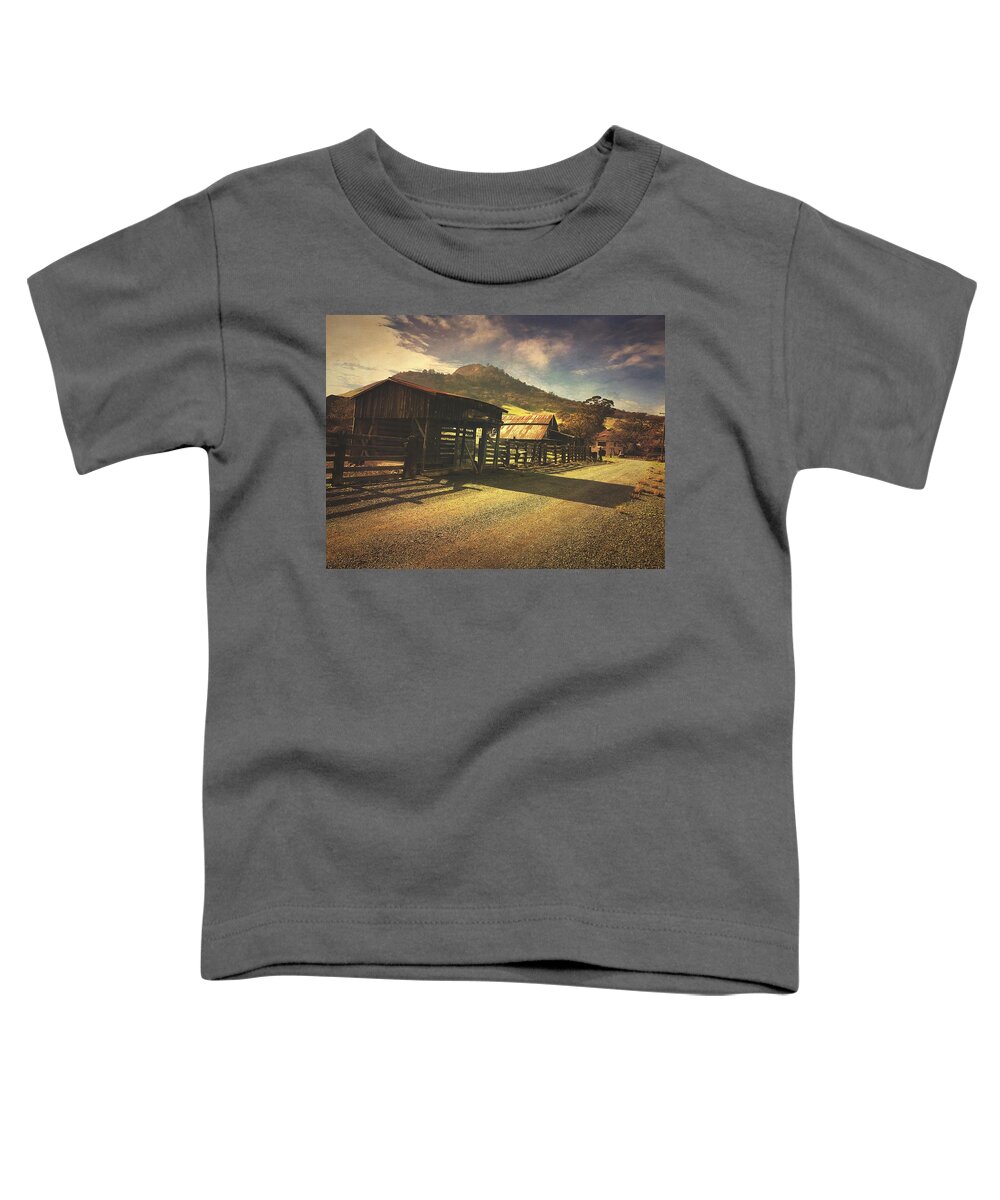Ranch Toddler T-Shirt featuring the photograph Vanishing History by Brad Hodges