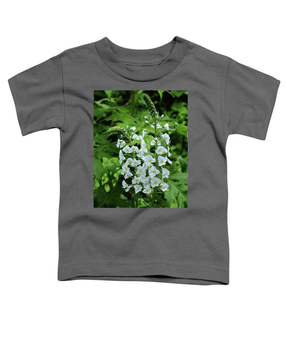 Flowers Flower Spikes White Veronica Speedwell Plant Petals Garden Horticulture Saint Veronica Birds Eye Gypsyweed Flowering Leaf Toddler T-Shirt featuring the photograph Veronica by Jeff Townsend