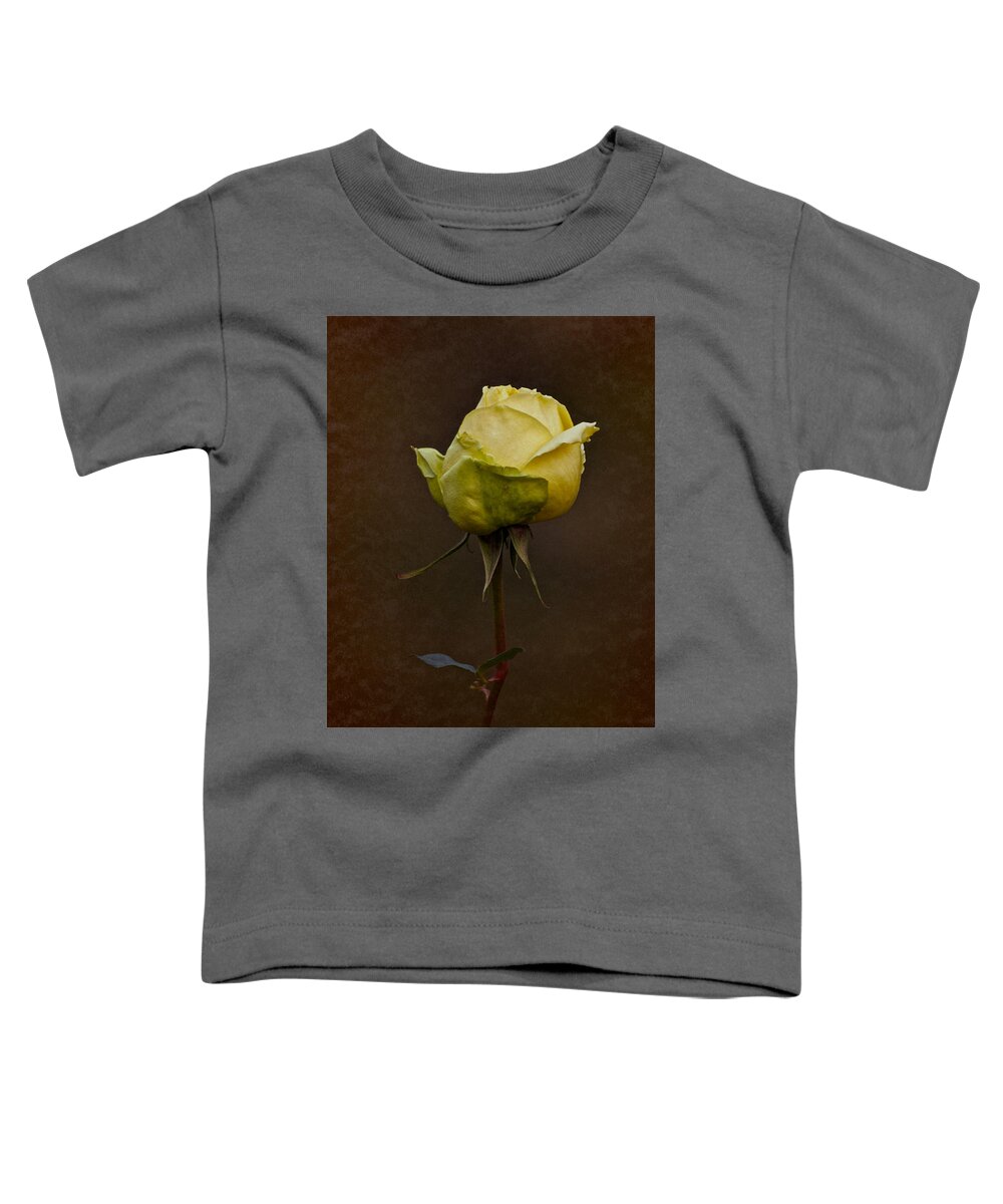 Rose Toddler T-Shirt featuring the photograph Vintage Yellow Rose 2018 by Richard Cummings