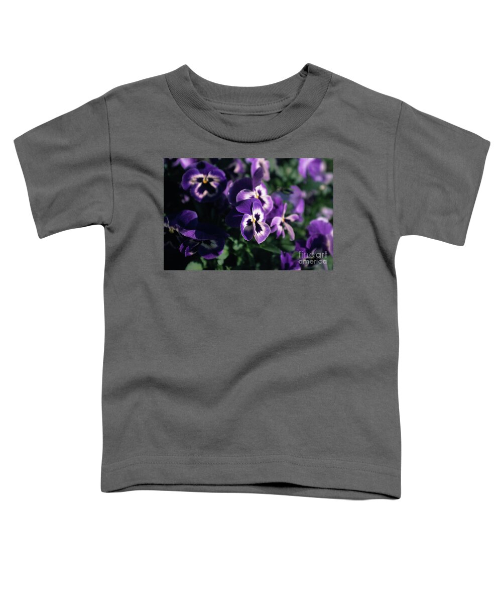 Violet Toddler T-Shirt featuring the photograph Violet Pansies by Riccardo Mottola