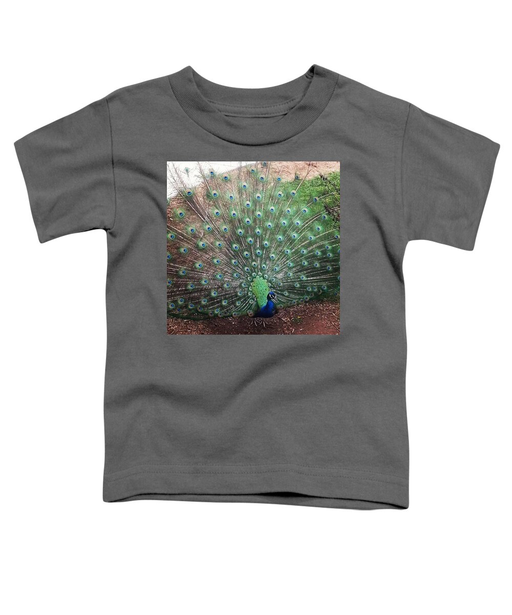 Virginiasafaripark Toddler T-Shirt featuring the photograph Peacock by Shauna Loan