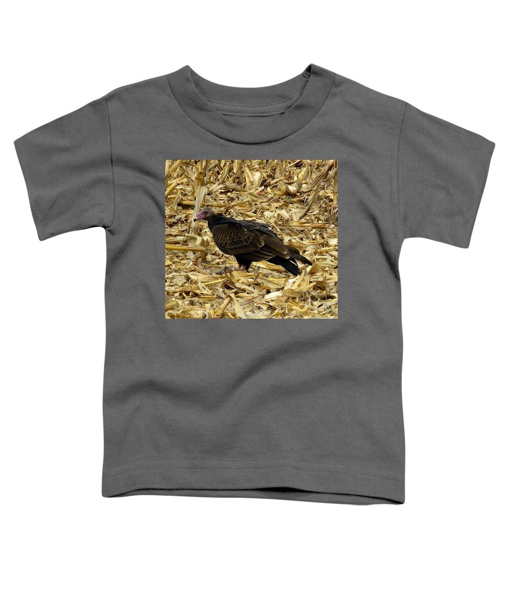 Turkey Vulture Toddler T-Shirt featuring the photograph Vulture in the Corn Field by Keith Stokes