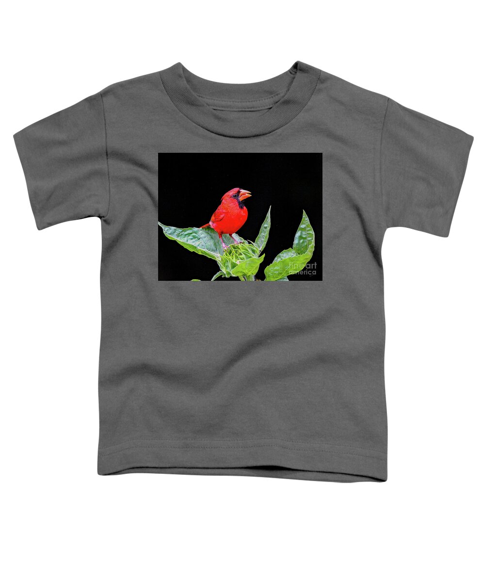 Nature Toddler T-Shirt featuring the photograph Waiting by DB Hayes