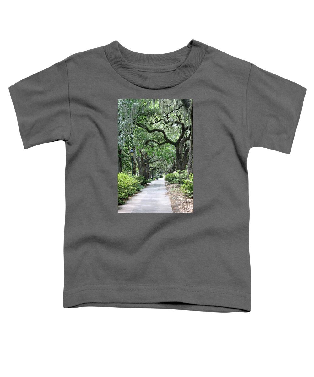South Toddler T-Shirt featuring the photograph Walking in the Park by Suzanne Gaff