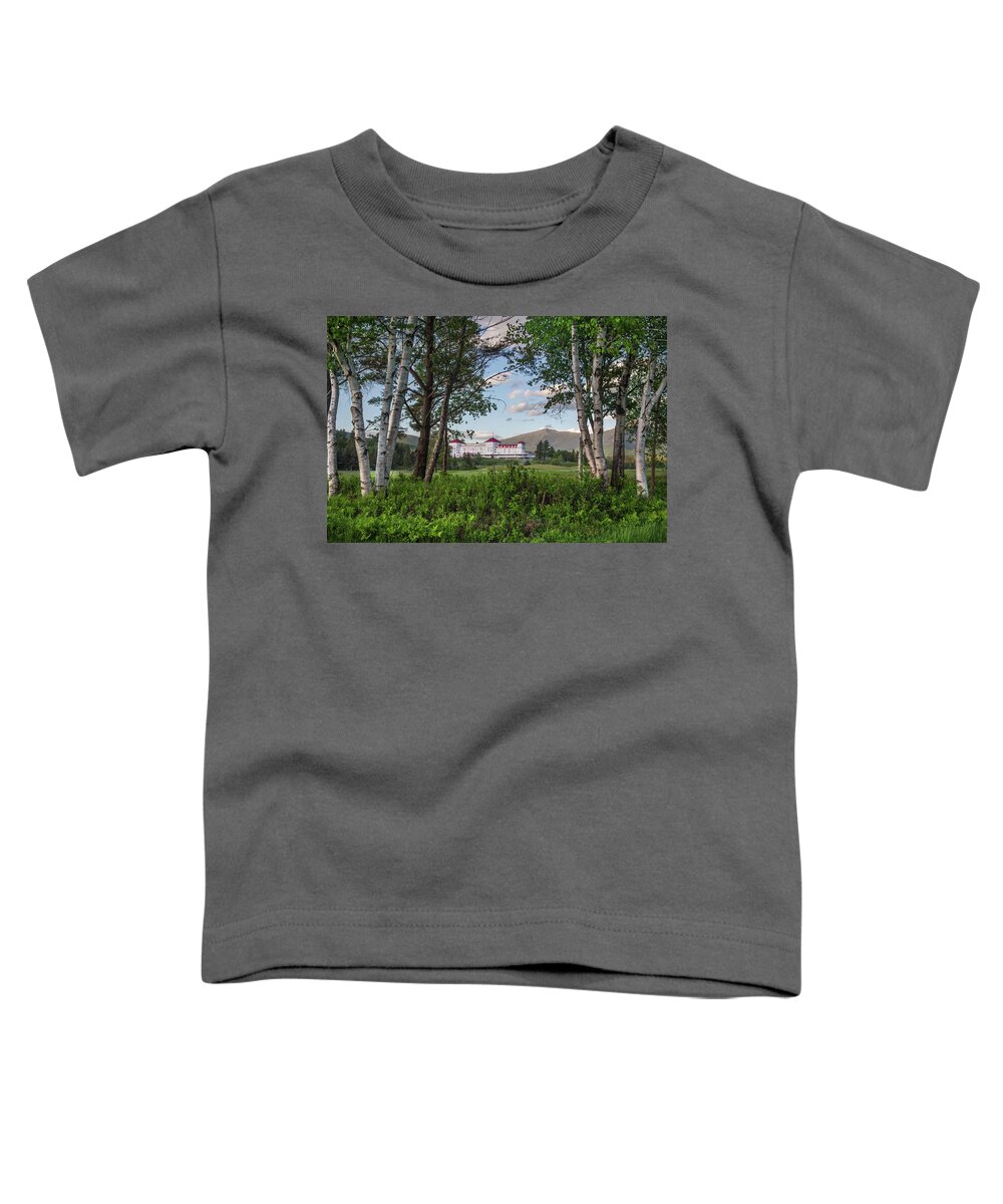 Washington Toddler T-Shirt featuring the photograph Washington Through the Birches by White Mountain Images