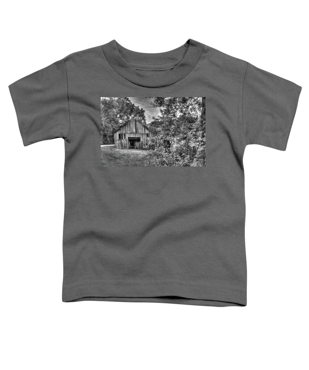 Morgan Toddler T-Shirt featuring the photograph Wells 9 by Douglas Barnett