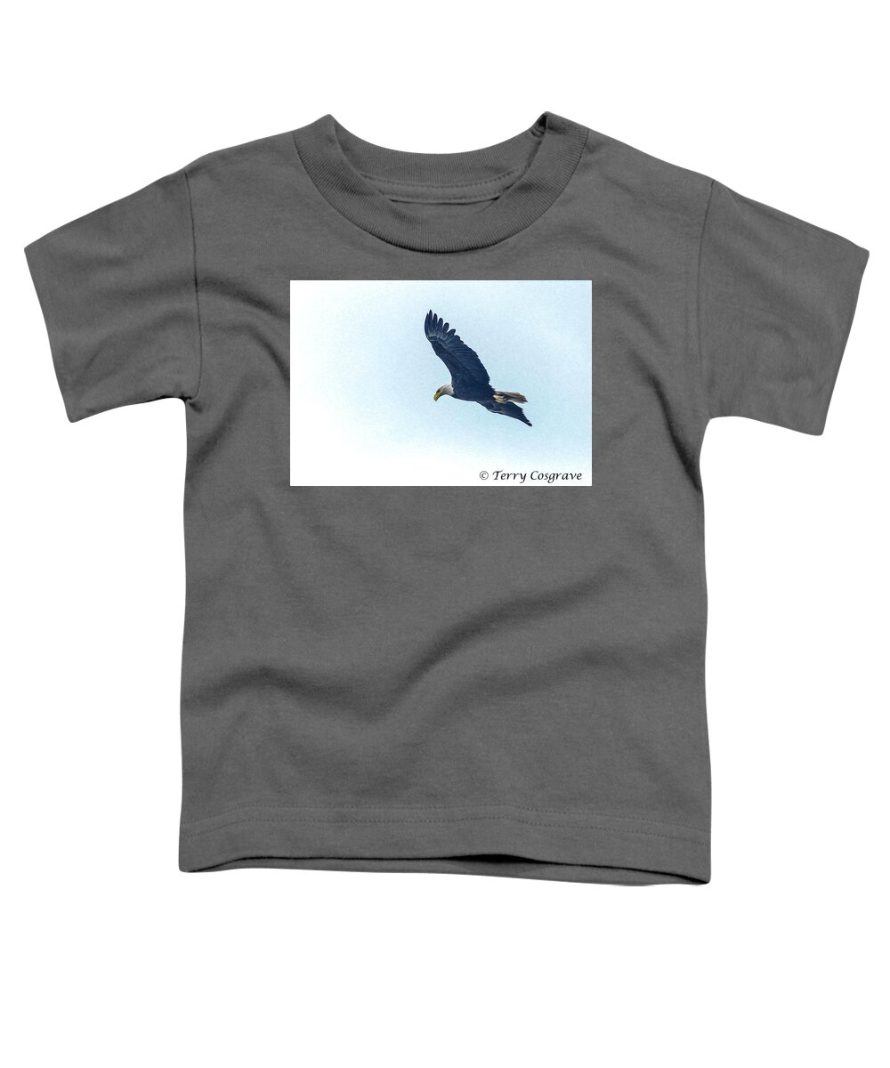 Bird Toddler T-Shirt featuring the photograph West Point american eagle. by Terry Cosgrave