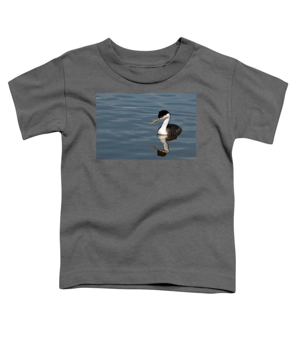 Western Grebe Toddler T-Shirt featuring the photograph Western Grebe in Calm Waters by Cascade Colors