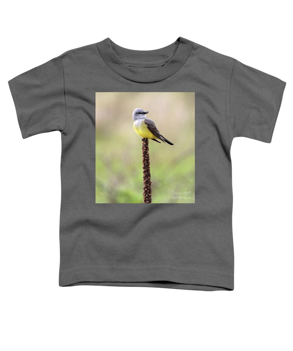 Arkansas Kingbird Toddler T-Shirt featuring the photograph Western Kingbird by Elizabeth Winter