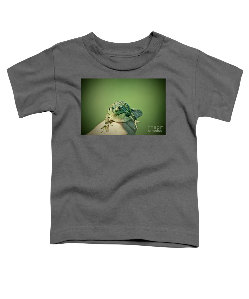 Frog Toddler T-Shirt featuring the photograph What Are You Looking At by Aimelle Ml