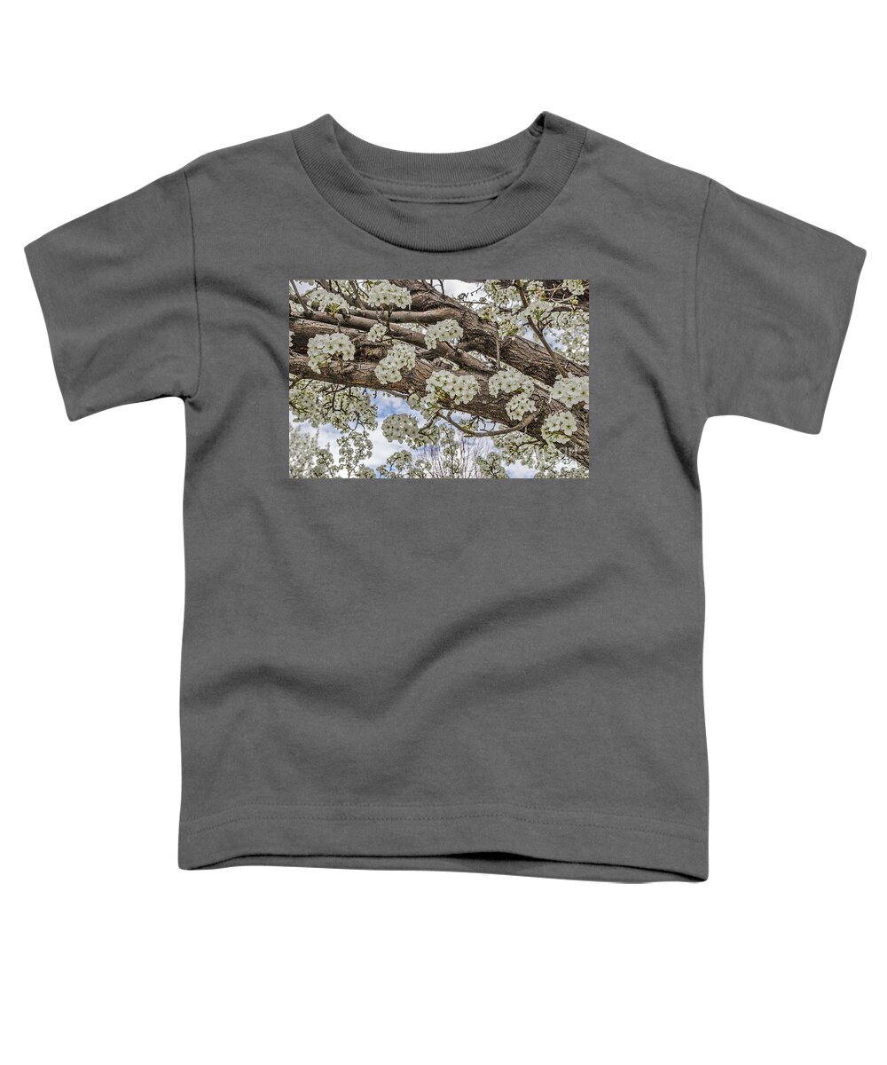 Malus Species Toddler T-Shirt featuring the photograph White Crabapple Blossoms by Sue Smith